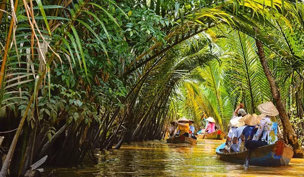 In Ben Tre province (Photo: VNA)