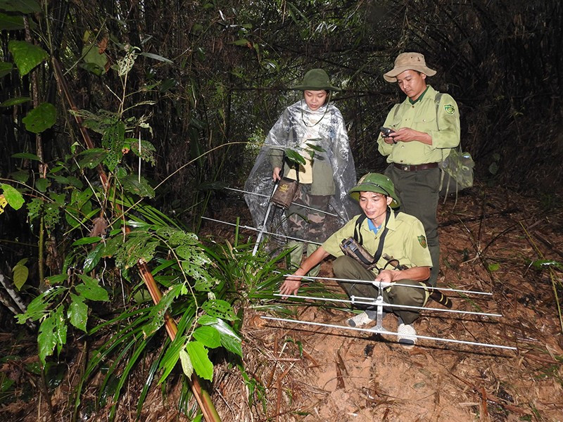 Forest rangers of Xuan Lien Nature Reserve (Thanh Hoa) apply SMART technology to manage and protect forests.