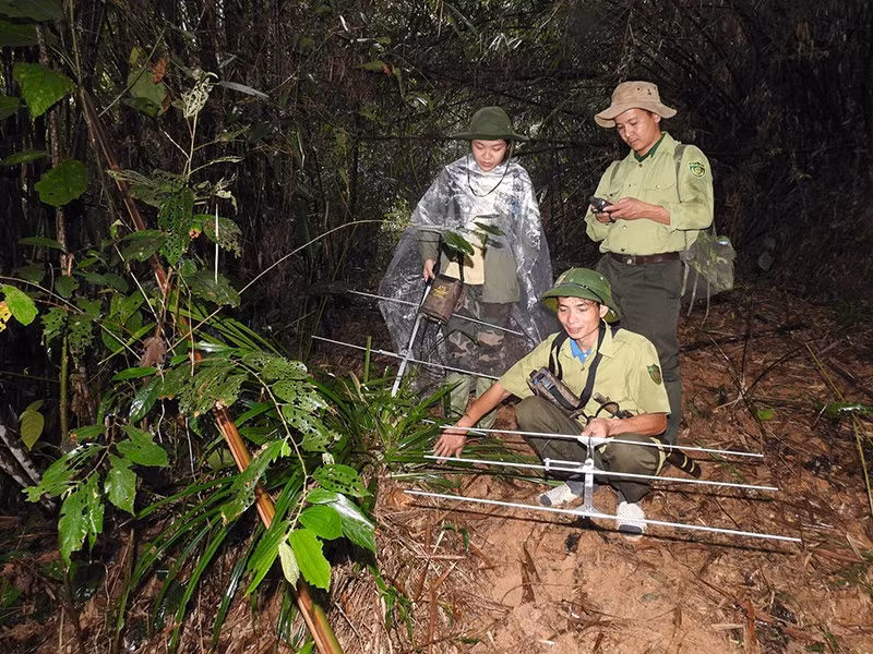 Forest rangers of Xuan Lien Nature Reserve (Thanh Hoa) apply SMART technology to manage and protect forests.