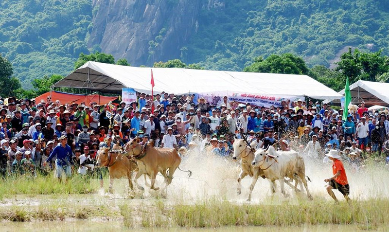 The exciting atmosphere at the festival (Photo: VNA)