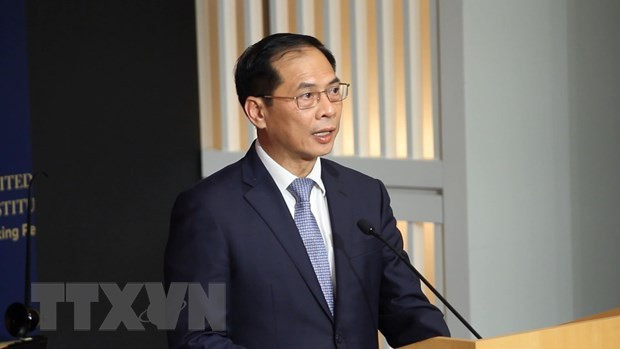Foreign Minister Bui Thanh Son (Photo: VNA)
