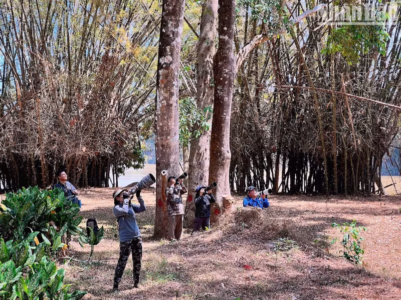 With more than 350 species of birds, accounting for nearly 50% of all bird species in Vietnam, Cat Tien National Park is also a “mecca” for passionate bird photographers and ornithologists, around the world. With more than 350 species of birds, accounting for nearly 50% of all bird species in Vietnam, Cat Tien National Park is also a “mecca” for passionate bird photographers and ornithologists, around the world.
