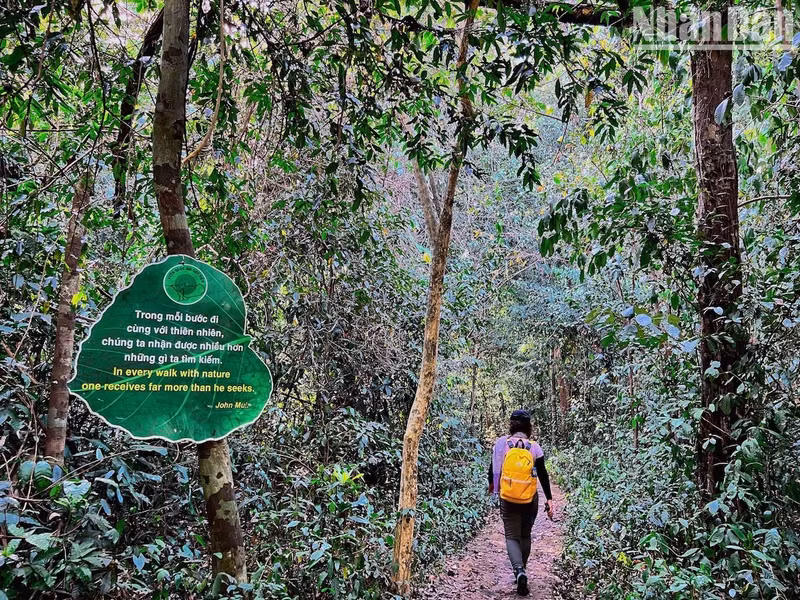 In many places throughout the forest, the Management Board put up signboards with quotes about the love of nature and the sense of forest protection. In many places throughout the forest, the Management Board put up signboards with quotes about the love of nature and the sense of forest protection.
