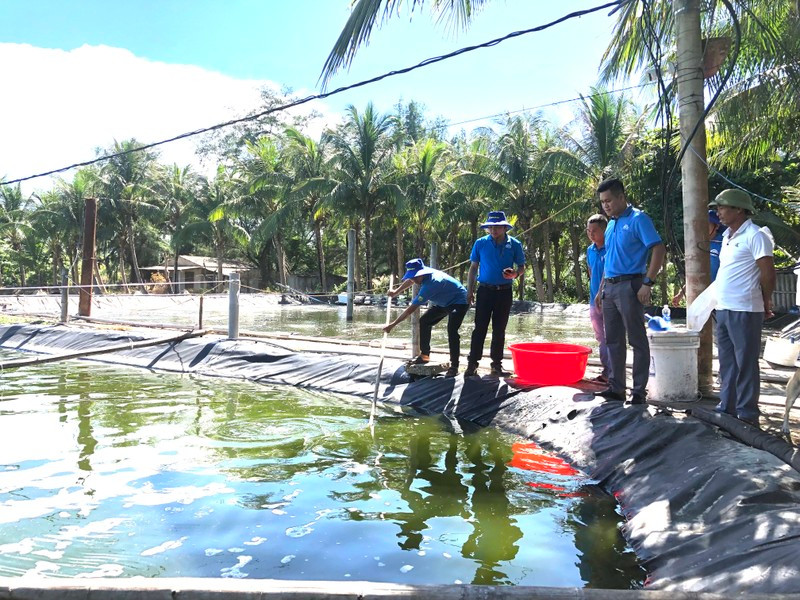 Grofarm, a model of high-tech shrimp farming in Hai Ninh Commune, Quang Ninh District, Quang Binh Province.