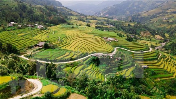 Terraced fields in Hoang Su Phi dsitrict, Ha Giang province. (Photo: VNA)