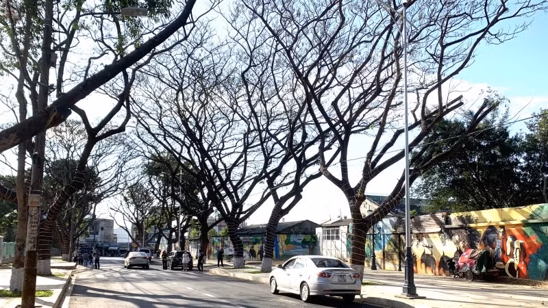 Phan Dinh Giot route will become an exciting venue to enjoy free coffee during the 8th Buon Ma Thuot Coffee Festival in 2023.