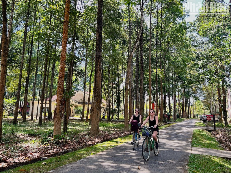 To explore Nam Cat Tien Forest, many tourists choose to rent bicycles, combined with walking.