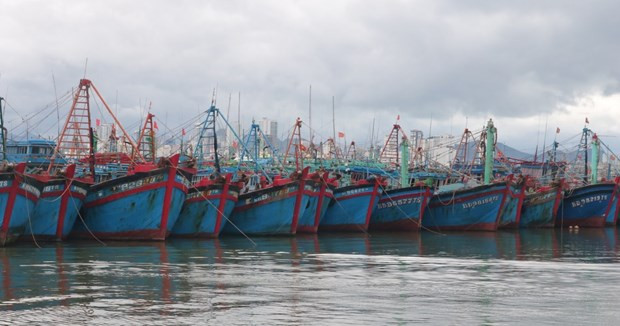 To remove the European Commission's yellow card, it is necessary for ship owners to comply with legal documents on seas and islands while operating at sea. (Photo: nongnghiep.vn)