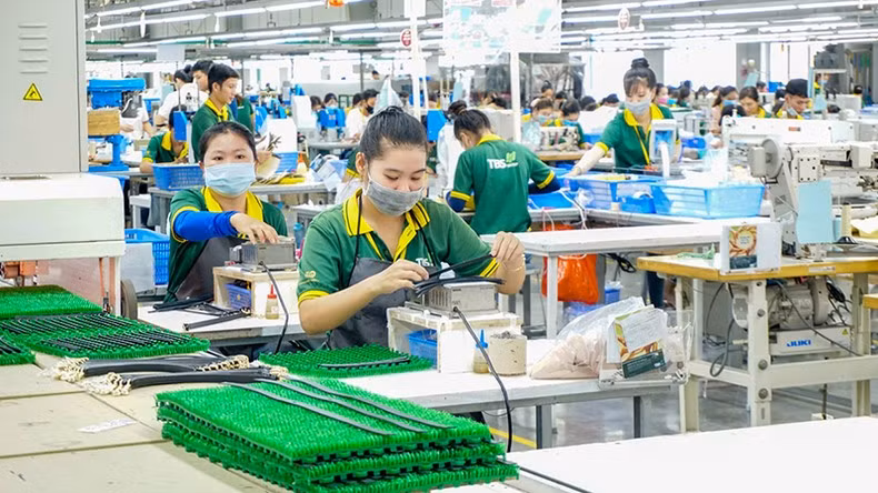 Exporting enterprises determine to diversify products.