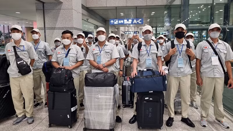 Nearly 72,300 workers were sent abroad in the first half of 2023. (Photo: Colab)