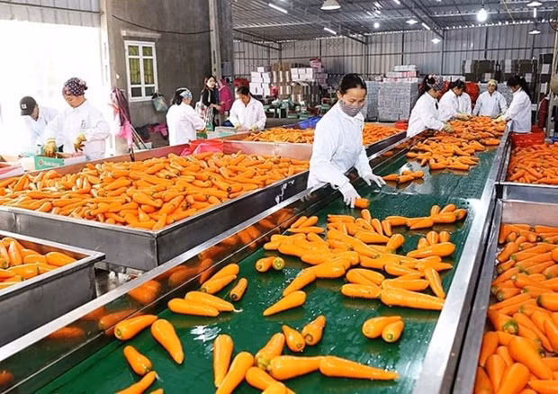Illustrative image (Photo: congthuong.vn)