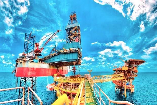  Ca Tam 2 production platform (Photo: Petrotimes)