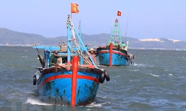 Vietnam's fishing vessels (Photo: VNA)