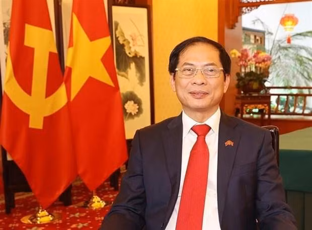 Foreign Minister Bui Thanh Son (Photo: VNA)