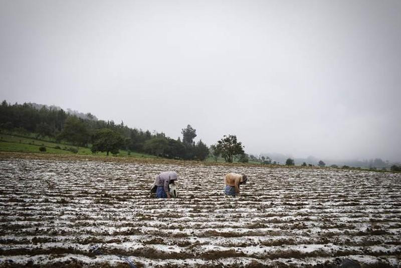 Poverty plagues Latin America and the Caribbean
