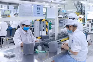 Production of electronic components at Star Engineers Vietnam Co., Ltd. in Binh Xuyen I Industrial Park, Phu Tho province (Photo: VNA)