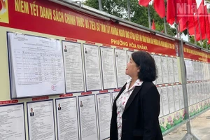 Voters in Hoa Khanh ward read information on the public notice board.
