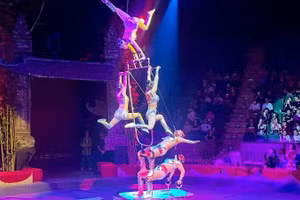 A performance by artists of the Viet Nam Circus Federation.