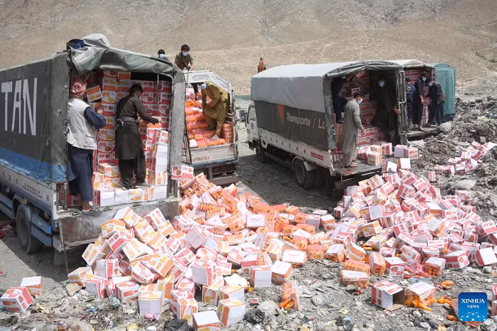 Workers unload expired and low-quality food items in Kabul, the capital of Afghanistan, July 15, 2025. Afghan authorities collected and destroyed 65 tons of expired and low-quality food items in the capital Kabul on Tuesday, officials from the Ministry of Public Health said. (Photo: Xinhua)