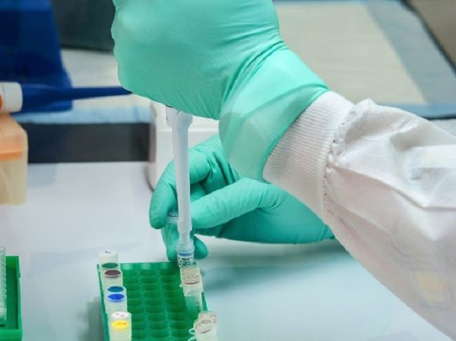 Australian researchers published new findings on Tuesday revealing how rapidly SARS-CoV-2, the virus behind COVID-19, evolves, offering crucial insights that could aid in forecasting and combating future variants.