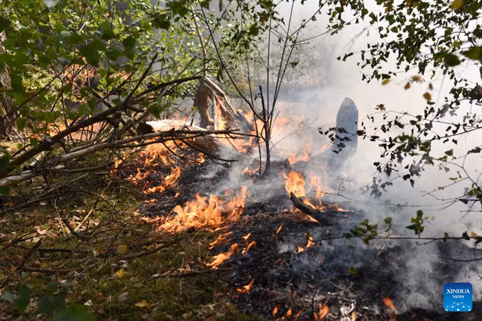 Wildfire is seen in Boschhuizerbergen nature reserve of Venray, the Netherlands, Aug. 6, 2026. (Xinhua)