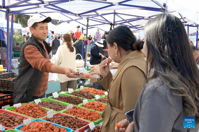 People select agricultural products at an agro-industrial exhibition and agricultural fair in Bishkek, Kyrgyzstan, Oct. 17, 2025. A three-day agro-industrial exhibition and agricultural fair opened here on Friday, bringing together exhibitors from various regions of the country. It aims to showcase Kyrgyzstan's agricultural development achievements and strengthen agricultural exchanges and cooperation among regions. (Photo: Xinhua)