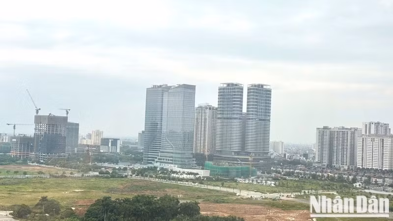 ndo-br-hotay4.jpg