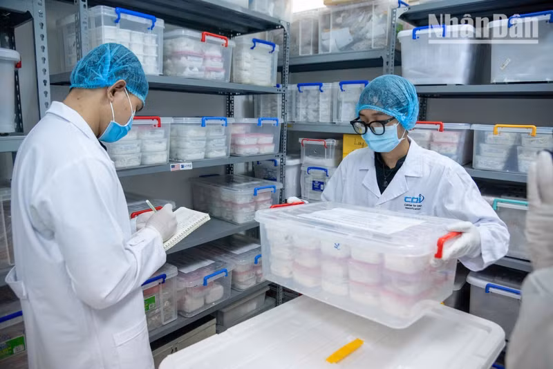 Many bone samples have been buried underground for between 50 and 80 years.