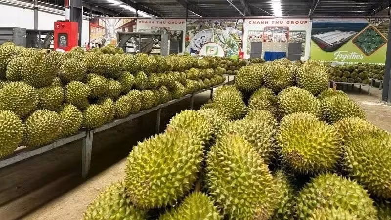 Simplifying the issuance of growing area and packing facility codes will facilitate agricultural exports.