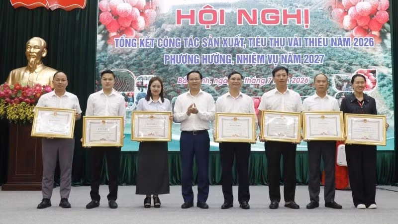 Leaders of Bac Ninh Province present awards to individuals with outstanding achievements in lychee production and consumption in 2026. (Photo: NDO)