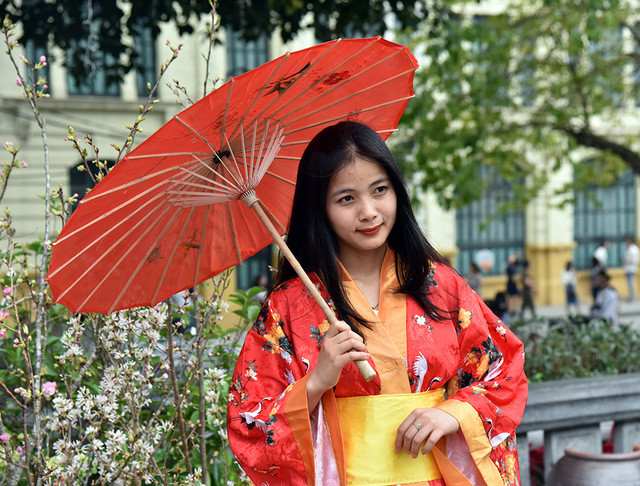 2019 Japanese cherry blossom festival opens in Hanoi ảnh 6