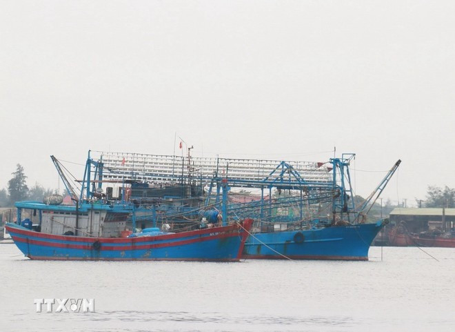 Fishing boats take shelter from the storm. - Illustrative image (Photo: VNA) Fishing boats take shelter from the storm. - Illustrative image (Photo: VNA)