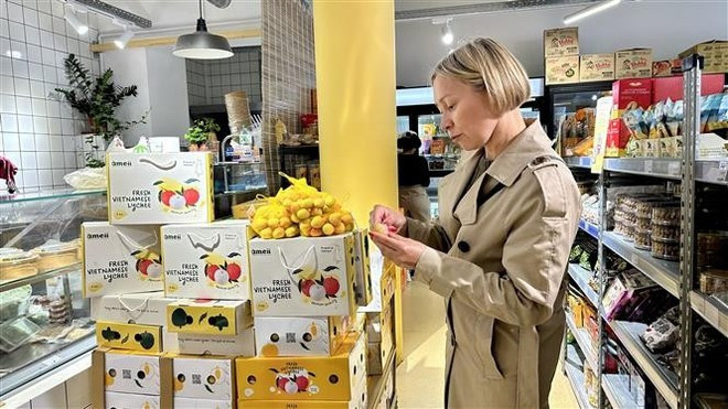 A consumer try Vietnamese lychees at a supermarket in Paris. (Photo: VNA) A consumer try Vietnamese lychees at a supermarket in Paris. (Photo: VNA)