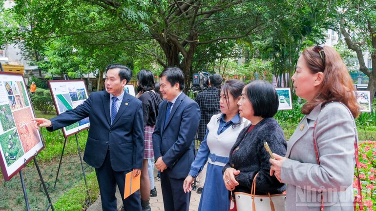 Guests visiting the exhibition. image-5.jpg