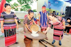 Members of the Xtieng ethnic group in Tan Hung Commune pound rice during the new rice festival.