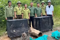 Protected wildlife are released back into their natural habitat at Chu Yang Sin National Park.