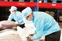 Packaging speciality coffee husk (cascara tea) for export at Simexco DakLak. (Photo: MINH ANH)