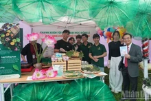 Da Nang students experience a Korean cultural space at an event held on December 19. (Photo: ANH DAO)