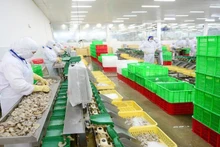 Seafood exports to the EU enjoy significant growth thanks to the EVFTA.