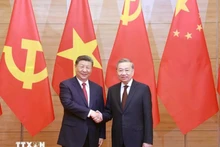 General Secretary of the Communist Party of Viet Nam To Lam (R) and General Secretary of the Communist Party of China and President of China Xi Jinping (Photo: VNA)