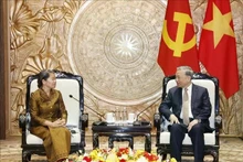 General Secretary of the Communist Party of Viet Nam Central Committee To Lam (right) and Vice President of the Cambodian People’s Party Men Sam An at the meeting in Ha Noi on January 26 (Photo: VNA)