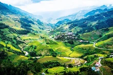 Mu Cang Chai terraced fields, Lao Cai. (Photo: THANH DAT)