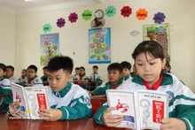 Illustrative image (Photo: VNA)