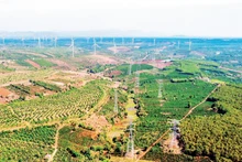 The 220kV and 500kV transmission lines receiving renewable energy sources in localities are managed and operated by Gia Lai Power Transmission under Power Transmission Company No. 3.