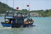 Illustrative photo (Photo: VNA)