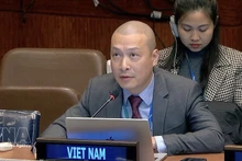 Minister Counsellor Nguyen Hoang Nguyen, Deputy Permanent Representative of Viet Nam to the UN. (Photo: VNA)