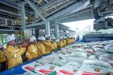 Workers load fertiliser onto a vessel for export by Petrovietnam Ca Mau Fertiliser Corporation (PVCFC). (Photo: Petrovietnam)