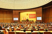 An overview of the conference (Photo: VNA)