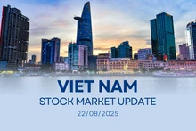Infographic: VN-Index records sharpest decline in weeks
