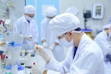 Scientific research at the University of Science and Technology of Ha Noi, Viet Nam Academy of Science and Technology. (Photo: USTH)